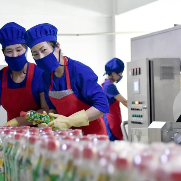 朝鲜食品加工厂项目招商